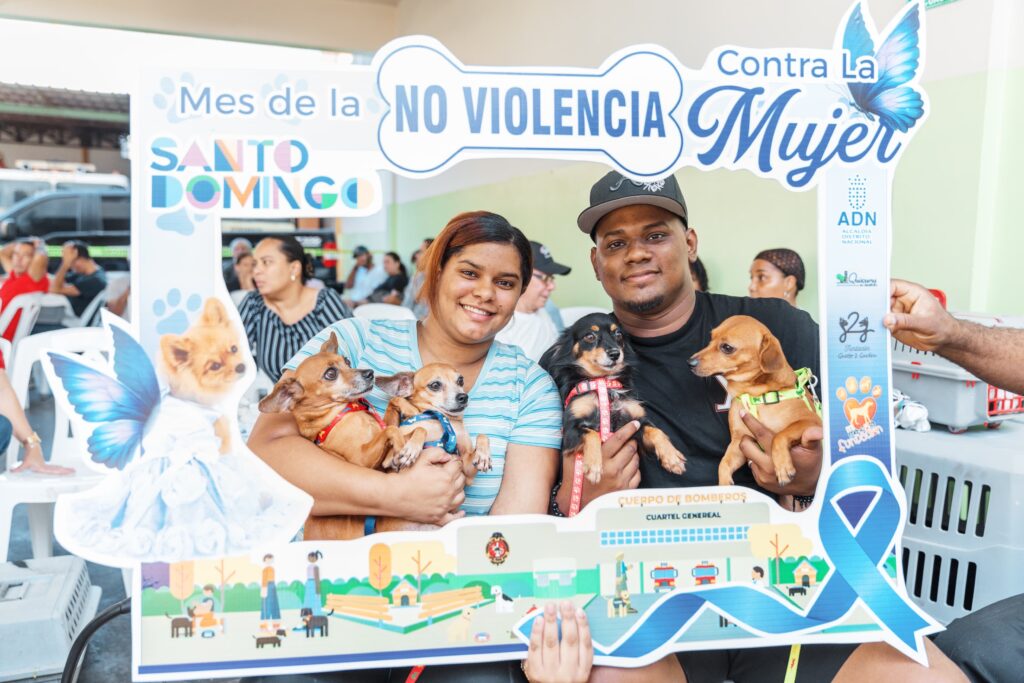 Alcaldía del DN realiza jornada gratuita de esterilización y vacunación de perros y gatos