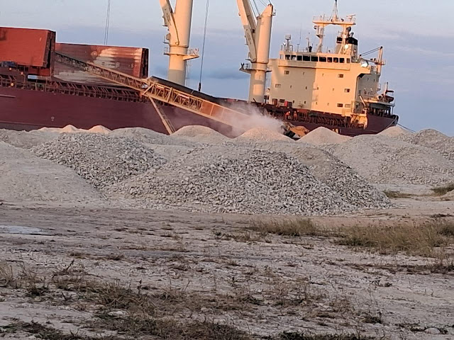 COALICIÓN EXIGE DETENER EXPLOTACIÓN ILEGAL EN EL SUR